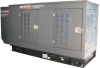 Газовый генератор Generac SG28/PG25 в кожухе